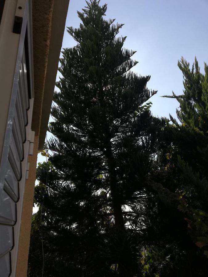 Apartamento Chriselina Gottage Paphos Exterior foto