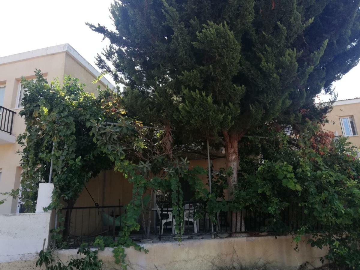 Apartamento Chriselina Gottage Paphos Exterior foto