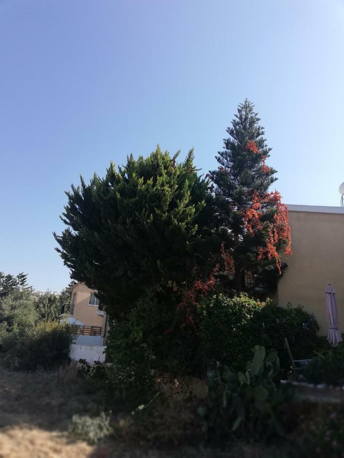 Apartamento Chriselina Gottage Paphos Exterior foto