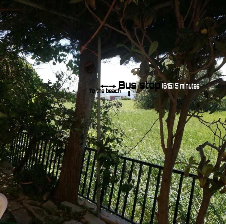 Apartamento Chriselina Gottage Paphos Exterior foto